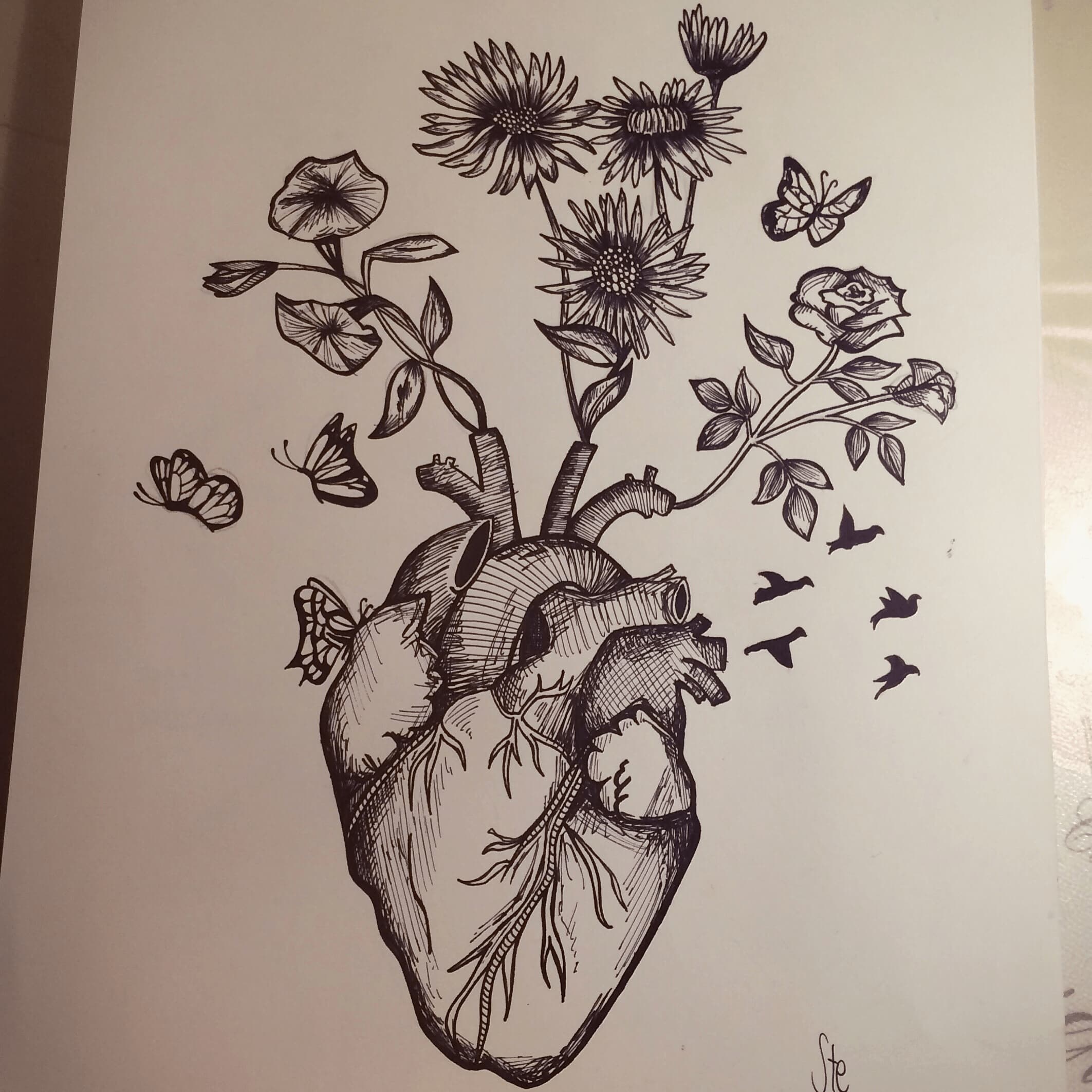 cuore disegno